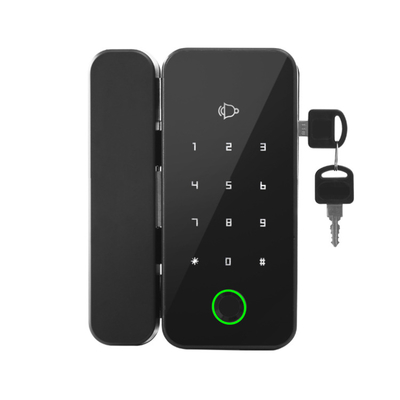 Aluminum Alloy Bilixo Amazon Selling Keyless Remote Control Electronic Smart Fingerprint Sliding Password Hidden Digital Internal Glass Door Lock